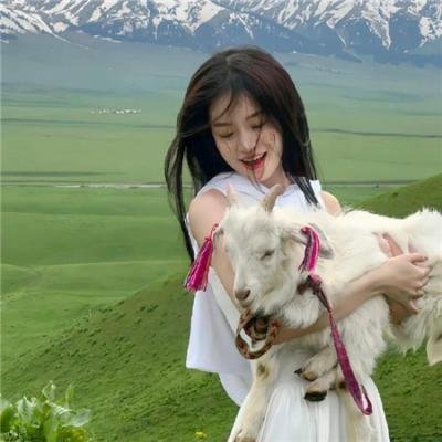 新冷血十三鹰海报